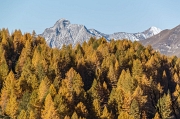 Due giorni tra i colori Orobici-62
